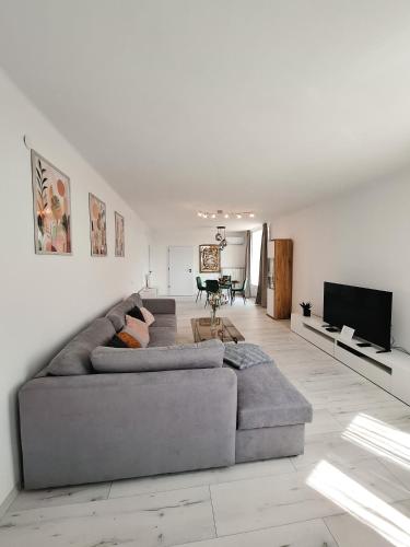 Duna Panorama -two-bedroom apartment with terraceにあるテレビまたはエンターテインメントセンター