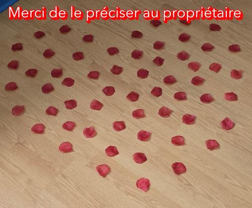 a group of red flowers on a wooden surface at Le Ptit Abri in Les Avenières