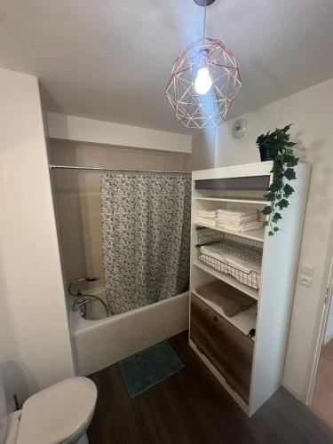 une salle de bain avec toilettes et douche dans l'établissement Maison indépendante avec jardin dans résidence proche de la plage, à Sérignan