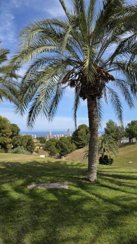 Espectacular Casa Con Vistas