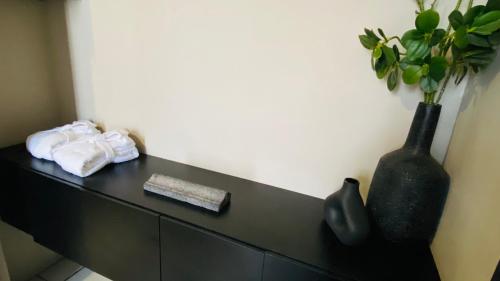 a black cabinet with a vase and a plant on it at Depa de diseño Zamora, Mich. in Zamora de Hidalgo