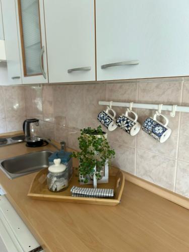 a kitchen counter with a sink and a tray with mugs at Apartmani Lucija in Zadar