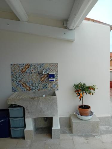 a plant in a pot sitting next to a wall at Atelier House 69 in Trappeto