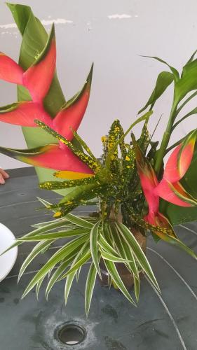 a bouquet of flowers in a vase on a table at Studio Hibiscus in Sainte-Anne
