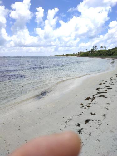 a view of a beach with footprints in the sand at Studio Hibiscus in Sainte-Anne