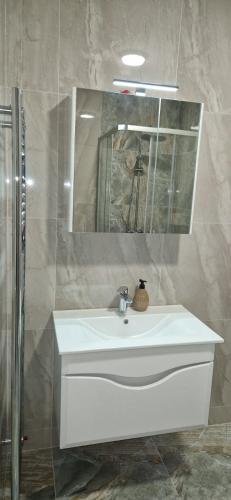 a bathroom with a white sink and a mirror at Apartman MAGNIFICO in Donje Mladice