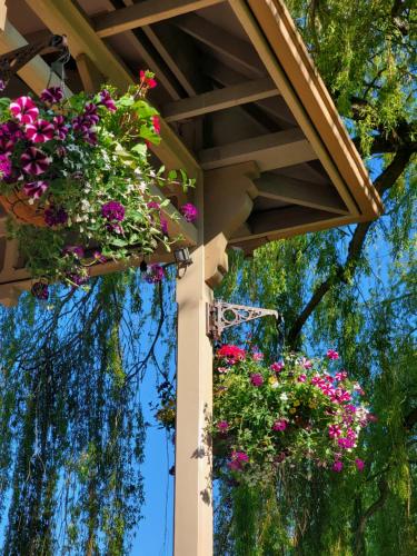 a pergola with flowers hanging from it at Adams Pragge House - Victorian Bed & Breakfast in Port Townsend