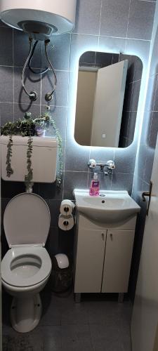 Vonios kambarys apgyvendinimo įstaigoje TEA7 apartment