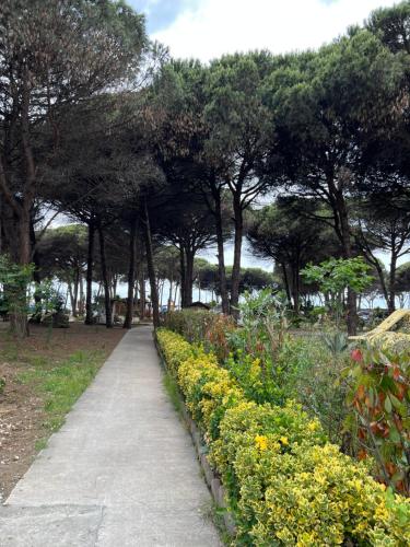 a path in a park with flowers and trees at Durres Relax Holiday Home in Qerret