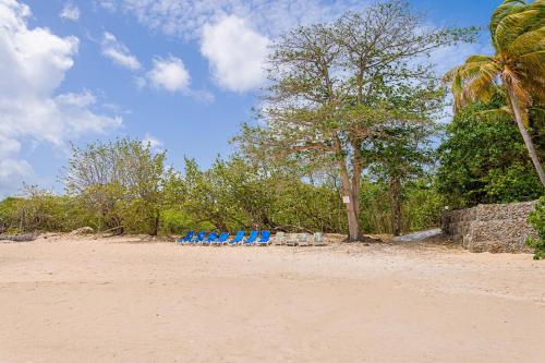 a row of blue lounge chairs on a beach at Loft Apartment Ocean View in Saint Johnʼs