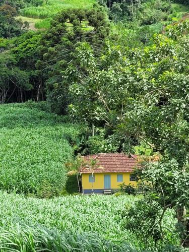 a small yellow house in a field of crops at Casa da Roça Ita in Itamonte