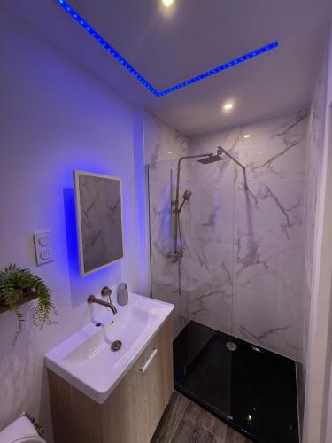 une salle de bain avec un lavabo et une douche dans l'établissement Studio 0 - Cinema Sports Parking - DABNB, à Limoges
