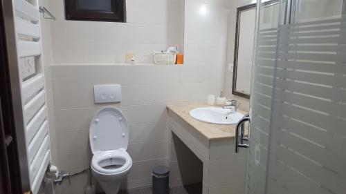 a white bathroom with a toilet and a sink at Casa Aryana, adults only in Bran
