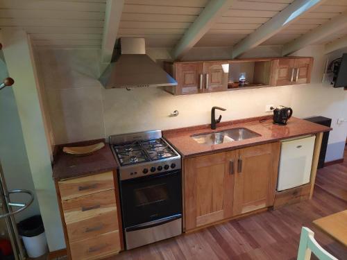 Kuchyň nebo kuchyňský kout v ubytování Monoambiente para huéspedes Silvana