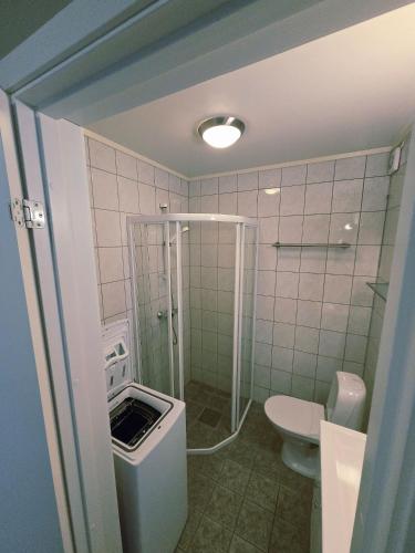 a bathroom with a shower and a toilet at Tjeldsund Tide nr. 5 in Steinsland
