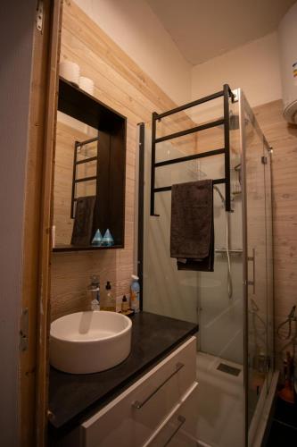 une salle de bain avec un lavabo et une douche dans l'établissement Duplex cosy-Wifi-Parking-Netflix-Lyon 9, à Lyon