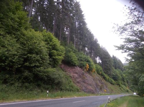 a road with trees on the side of a hill at My Home is my Castle in Hontheim