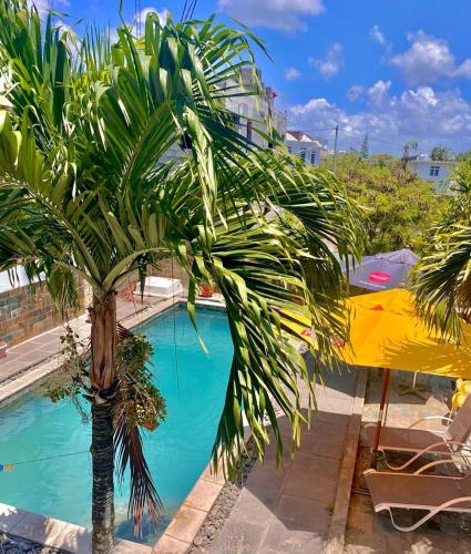 'Banana' 1-bedroom rooftop terrace apartment