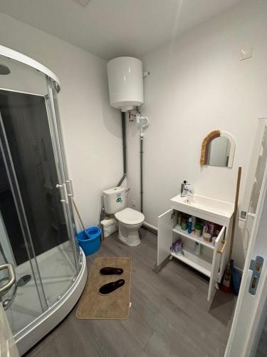 une salle de bain avec une douche, des toilettes et un lavabo dans l'établissement Cosy neuf avec vue sur la place, à Cambrai