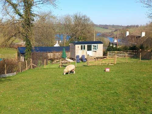 a sheep grazing in a field next to a trailer at Foxgloves in Brompton Regis