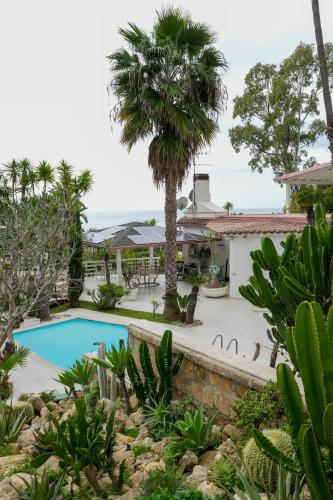 a resort with a swimming pool and a palm tree at Praialonga Suites with Pool and Garden in Le Castella