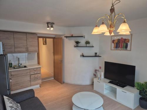 un soggiorno con un divano e una TV di cozy apartment a Reykjavik