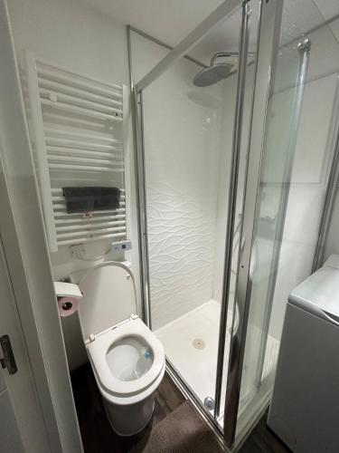 une petite salle de bain avec toilettes et douche dans l'établissement Studio Masséna Nice, à Nice