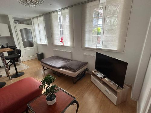 Televisyen dan/atau pusat hiburan di Exklusives Haus, ruhig gelegen im Innenhof, zentral, lichtdurchflutet Zustellbett,Babybett bei Bedarf