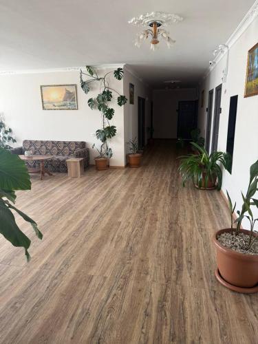 a living room with potted plants and a couch at Anita Hotel in Stepʼanavan