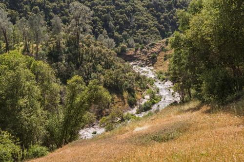 a river in the middle of a hill with trees at Rivertop Hideaway with HUGE views-Hot Tub-EV-more! in Ahwahnee