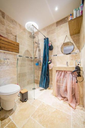 une salle de bain avec douche et toilettes dans l'établissement Mon cocon à Vaison, à Vaison-la-Romaine
