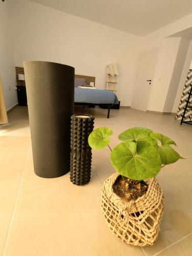 ナダにあるGozo Vacation Studiosのギャラリーの写真
