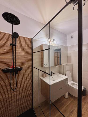 Quiet Studio Cavalerului - 1,5 km centru Pitesti في Valea Mare-Podgoria: حمام مزود بدُش ومغسلة ومرحاض