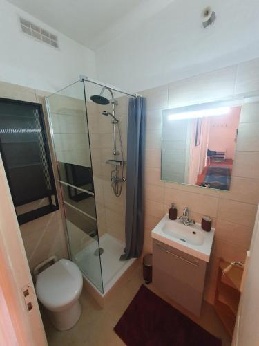 une salle de bain avec une douche, des toilettes et un lavabo dans l'établissement Superbe appartement niçois, à Nice