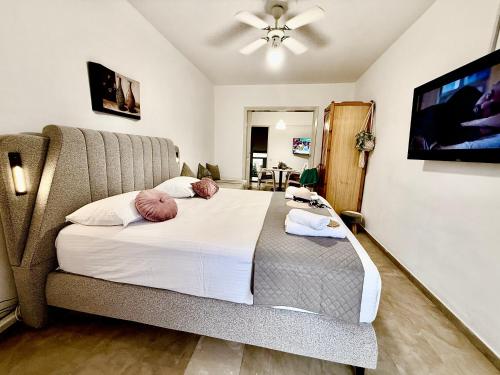 Ένα ή περισσότερα κρεβάτια σε δωμάτιο στο TRAVELLERS LEMONIAS APARTMENT Agios GORDIOS