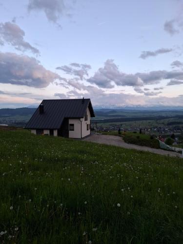 a house on top of a hill with a green field at Domek Na Sapisku in Szlembark