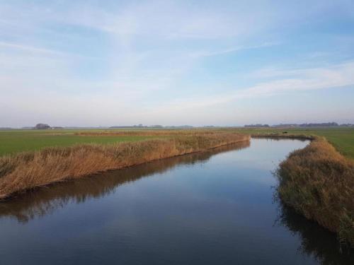 an aerial view of a river in a field at Frisian Countryside Stay near Sea in Tzummarum