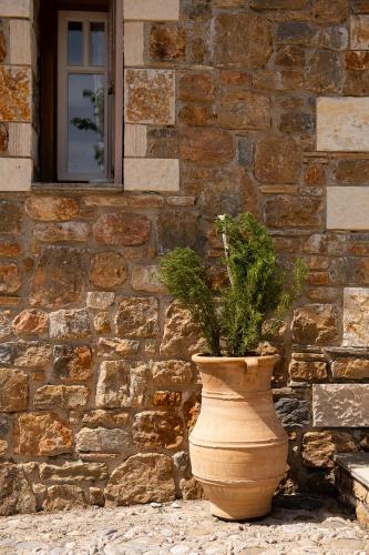 Fotografie z fotogalerie ubytování Lithea Villas and Studios by the Sea v destinaci Aghios Petros Alonissos