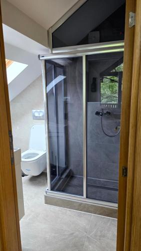 Un baño de Vila Dolina Mira