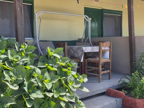Gallery image of Klimataria Studios Sithonia in Skála Sikiás
