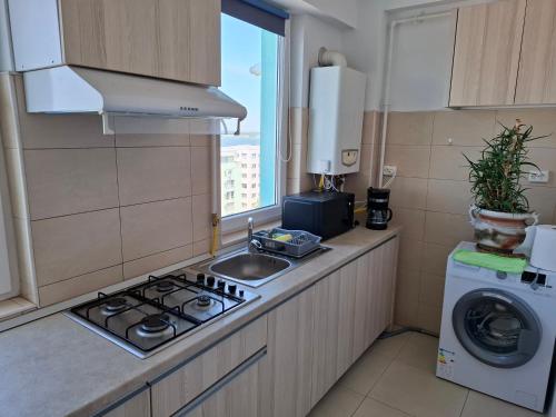 Køkken eller tekøkken på Apartament Doina Summerland