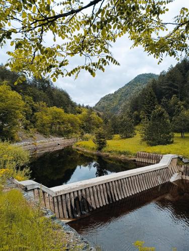 a bridge over a river next to a forest at Dedin Konak in Mokra Gora