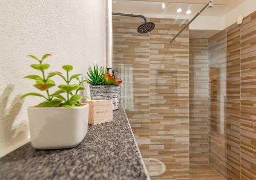 a bathroom with two potted plants on a counter at La Fortezza Exclusive - Spazio e Relax in Centro in Livorno