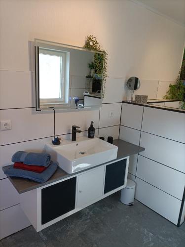 Dapur atau dapur kecil di HARZ-PFOTE familien- und hundefreundliche Ferienwohnung