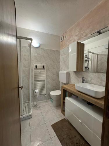 a bathroom with a sink and a toilet at Ermi Apartment Temù in Temù