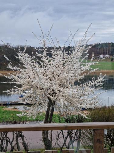 a tree with white flowers on it next to a fence at Trevligt fritidshus med underbar utsikt in Gothenburg