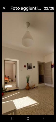 a living room with a potted plant on the floor at Casetta nel gargano in Cagnano Varano