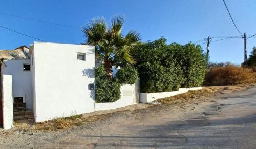 Casa de Férias Palmeira