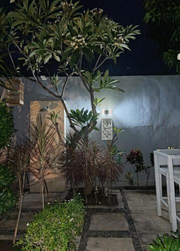 Κήπος έξω από το Aroha Villa