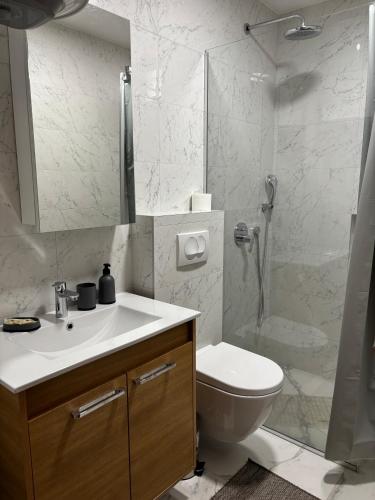 a bathroom with a sink and a toilet and a shower at Alexandro Apartmani Zlatibor in Zlatibor